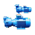 2BV Series PTEE Water Ring Chemical Vacuum Pump