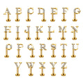 ASTM F136 Titanium 16G Ear Nose Studs Initial Letters Zircon Family Name Earrings Conch Helix Daith Cartilage Piercing Jewelry