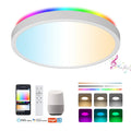 WIFI Smart Fixture 24W RGBCW Colorful Round Dimmable Voice Remote Control LED Ceiling Light