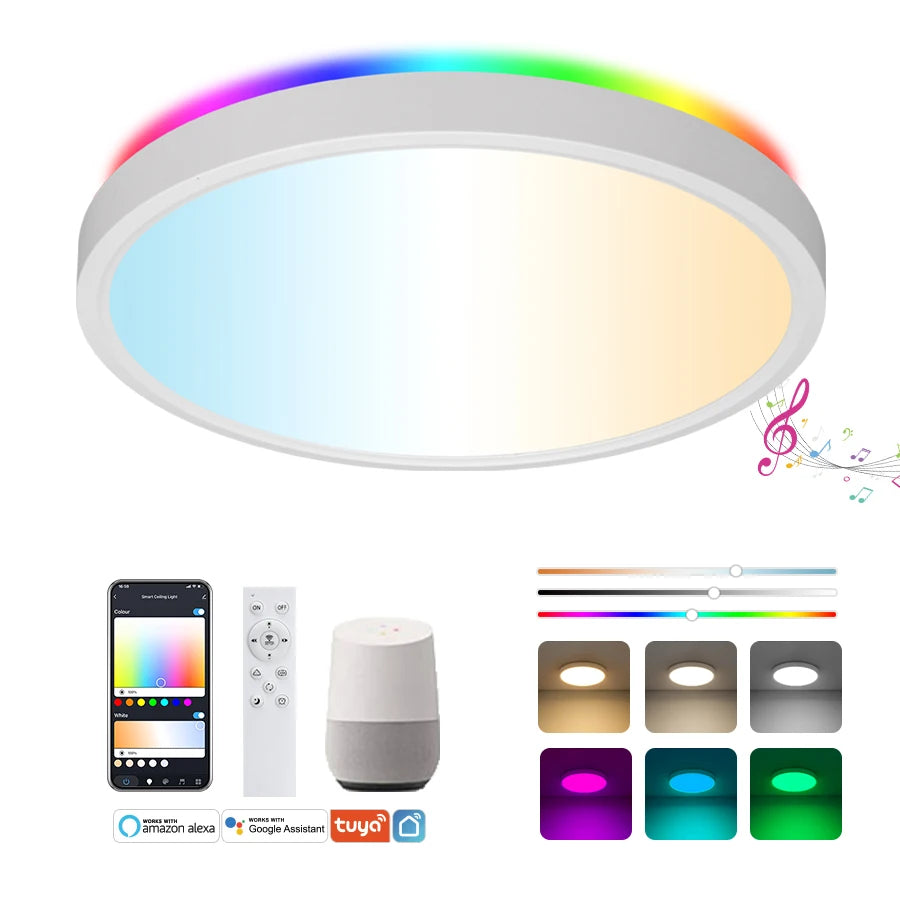 WIFI Smart Fixture 24W RGBCW Colorful Round Dimmable Voice Remote Control LED Ceiling Light