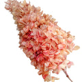 Decorative Flower Real Hydrangea Natural Wood Dried Hydrangea Flower Conical Flower Preserved Long Tower Hydrangea for Decor