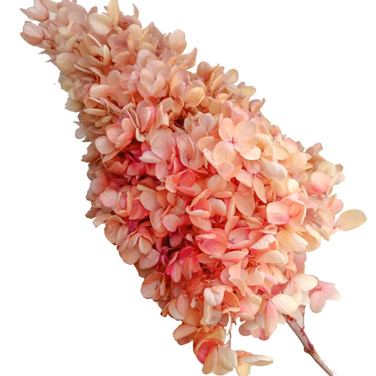 Decorative Flower Real Hydrangea Natural Wood Dried Hydrangea Flower Conical Flower Preserved Long Tower Hydrangea for Decor