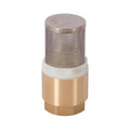 TMOK 1 Inch BSP DN25 Brass Spring Check Foot Valve with Stainless Strainer for Water Pump Pipeline