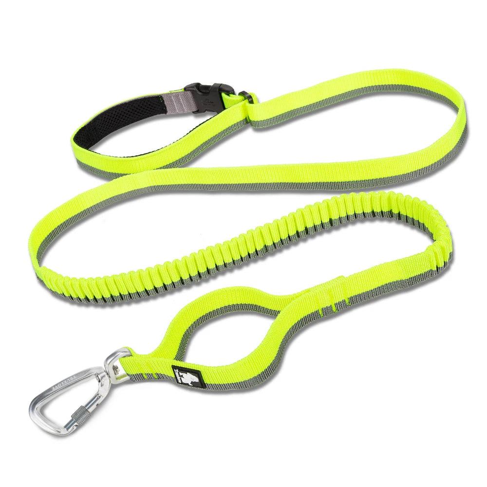 Truelove Wholesale Breathable Bungee Padded Handsfree Dog Leash with Light Adjustable Nylon Tactical Pet Lead Rope for Large Dog