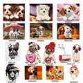 CHENISTORY Dog Cuadro DIY Oil Painting by Numbers Kit Acrylic Paint by Numbers Art Work Diy Paintings Art on Canvas