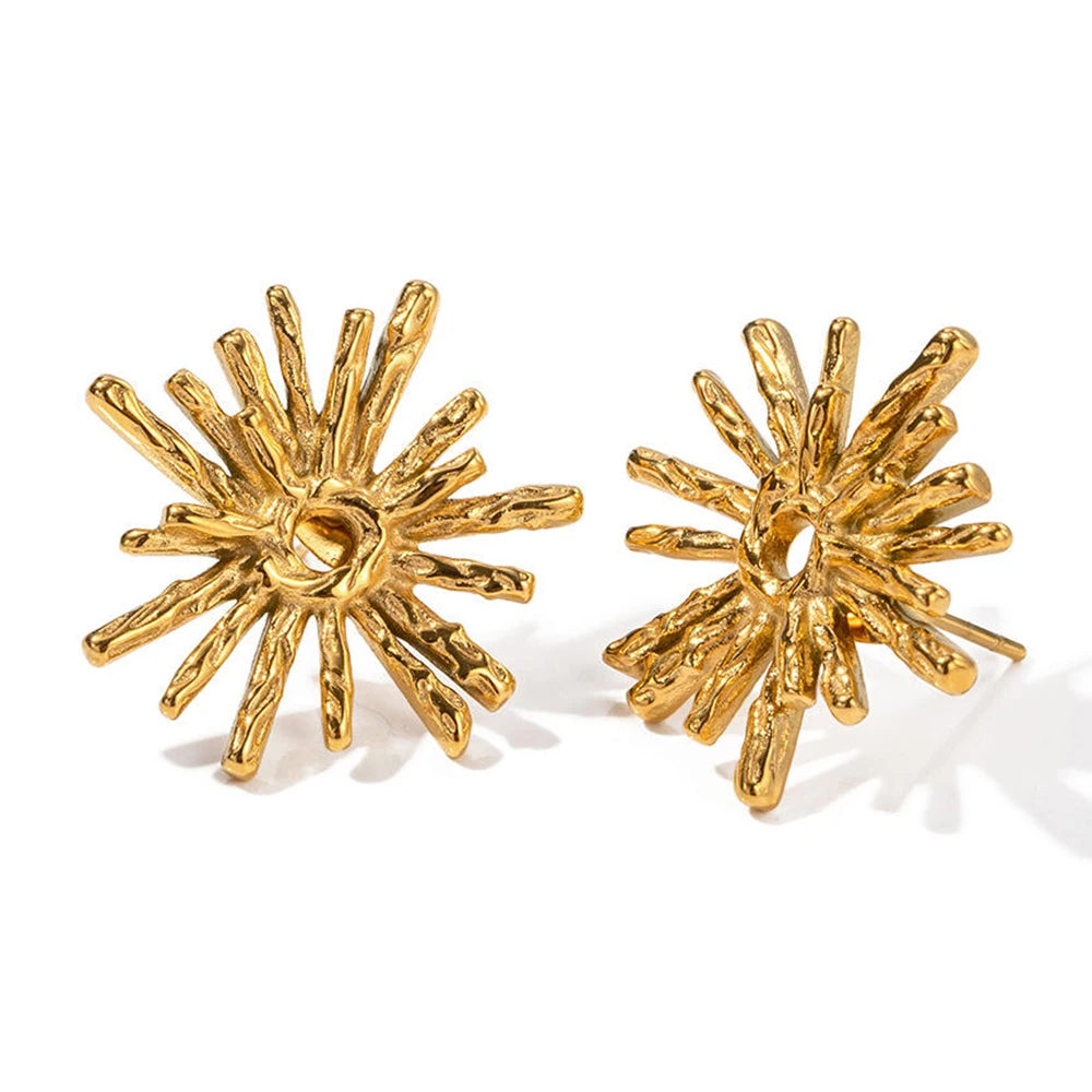 New Fashion Stainless Steel Fireworks Flower Geometric Stud Earrings Personalized Hypoallergenic Daily Jewelry for Women