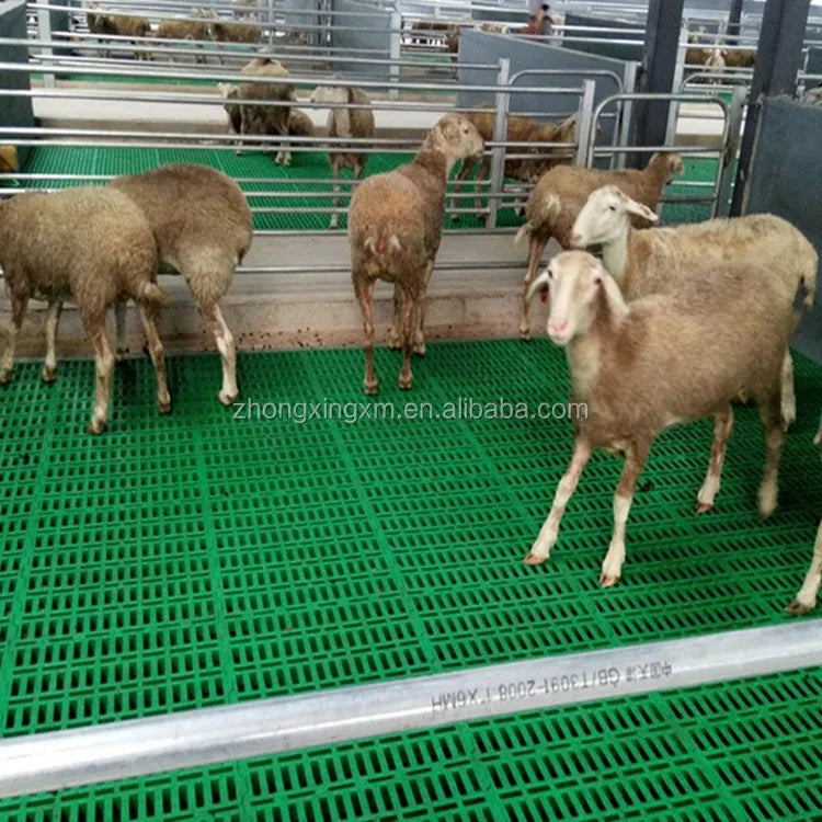 600*600 mm Plastic Goat Shed Slat Flooring Goat Farm Slatted Floor for Goat Sheep Farm