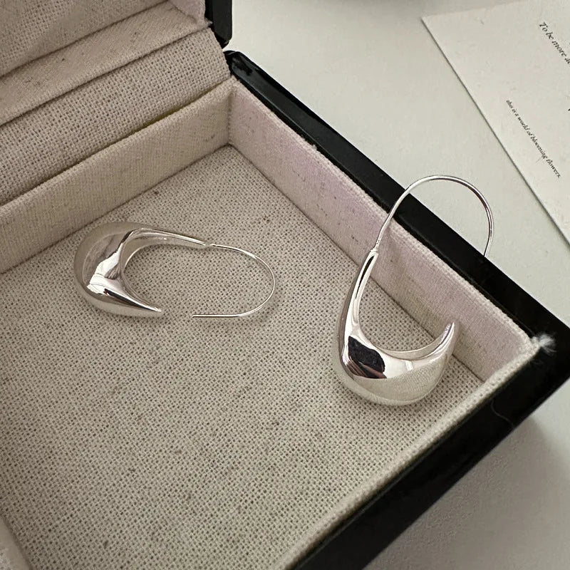 Fashionable Fine Jewelry 925 Sterling Silver Earrings for Women Statement Hook Earring