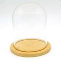 Jar Preserved Rose Glass Dome for Nordic Home Decor