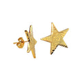 Dainty 18k Gold Lucky Star Earrings Custom logo Stainless Steel Women Earring Jewelry Minimal Star Studs Earrings