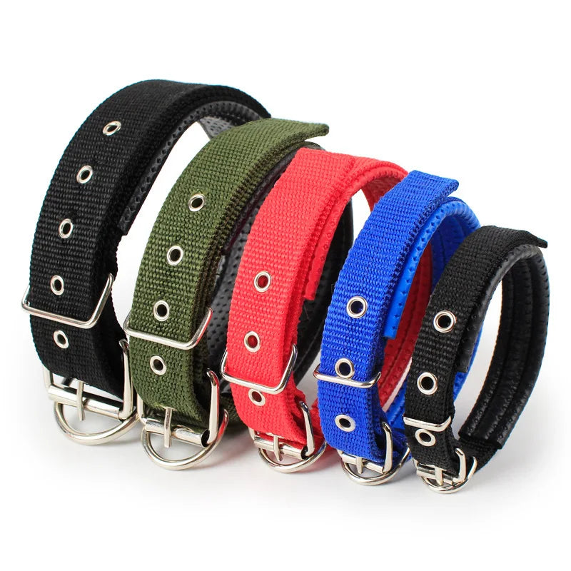 Direct Factory Free Sample Cheap Adjustable Plain Durable Nylon Pet Cat Dog Collars