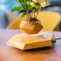 Super Hot HCNT Magnetic Levitating Bonsai Floating Plant Pot Unique Gift Nordic Style Levitating Flower Pot for Home Decoration