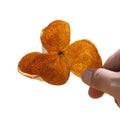 100% Pure Top Grade Chenpi New Xinhui Whole Dried Orange Fruit Shell Whole Orange Shuck Peel for Herbal Tea