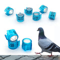 Color Brilliancy Pigeon GPS Rings for Leg Racing Club Association