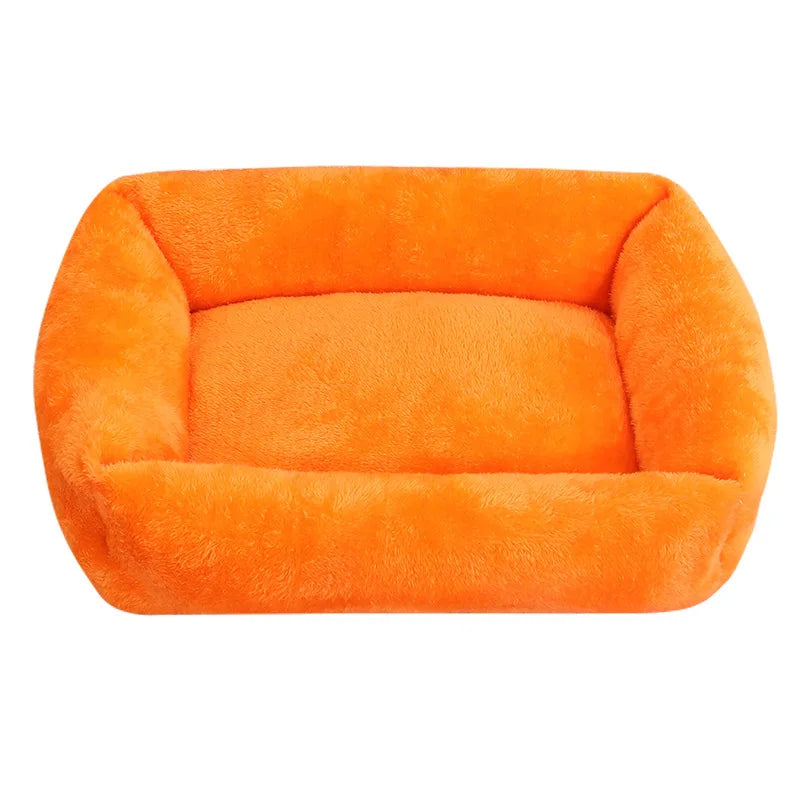Cat Taiwan Orange Dog Pet Bed