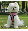 Personalized Sublimation No Pull  Custom Printing Dog Harness Pet Vest With Dog Leash