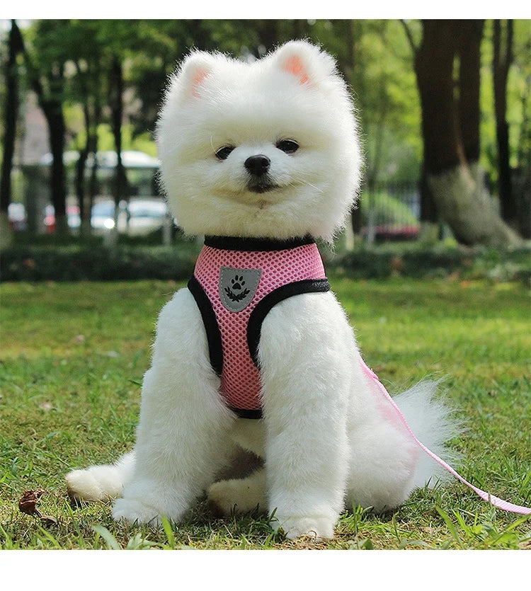 Personalized Sublimation No Pull  Custom Printing Dog Harness Pet Vest With Dog Leash