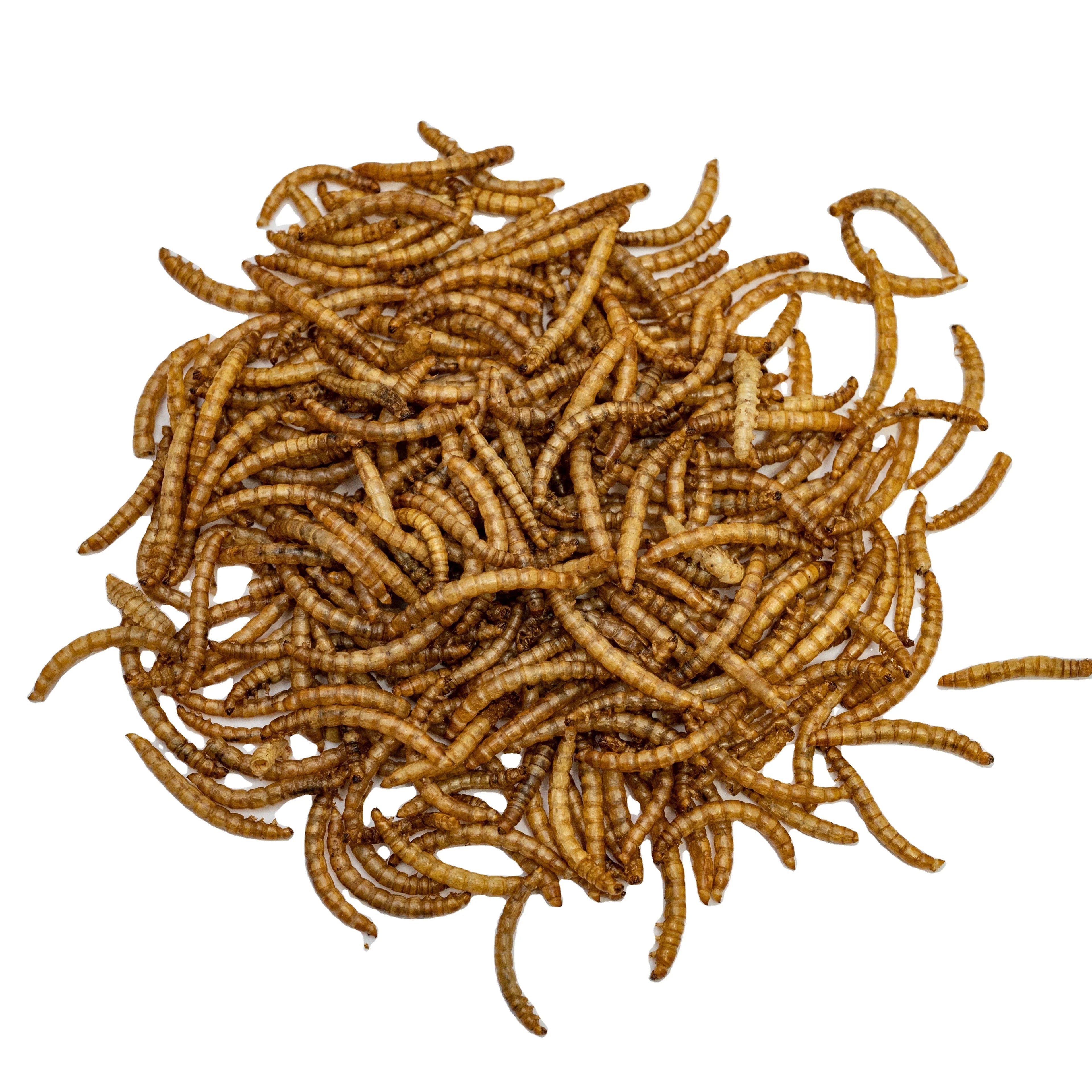Yellow Dried Mealworm Larvae Pupa Bird Pet and Farm Animal Food for Horse Cattle Fish Pig and Dog