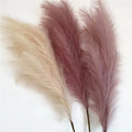 Customized Home Decoration Faux Pampas Artificial Pampas Grass Large