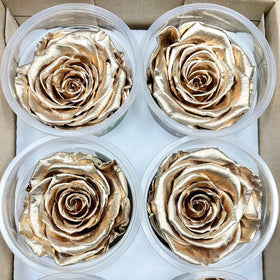 Wholesale Natural Preserved Gold Roses 8 Head Per Box Mini Roses Buds for Birthday Gifts Gift Set Roses Gift for Mom