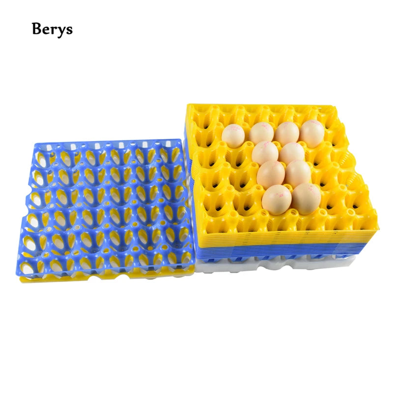 New 30-Cell Chicken Egg Packing Tray Plastic Egg Tray Plastic Egg Trays for 30 Eggs