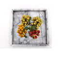 Nordic Marble Square Decorative Tray for Dessert Fruit and Home Table Display