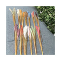 Manufacture Good Price Long  3-branch New Reed Decoration Artificial Feathers