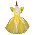 Children's Tutu Princess Tulle Pompadour Dance Dress Female Performance Training Costume