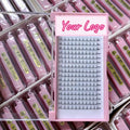 Best Handmade Silk Cruelty-Free 3D 4D 5D 6D 10D Volume Premade Eyelashes From Korea 0.05 0.07 0.10 PBT Material Lashes
