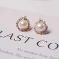 Wholesale 14k Gold-plated Earring Jewelry Women's Leaves Zircon Earrings Natural Freshwater Pearl Earrings