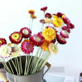 Hot Sale Handmade Natural Dried Flowers Helichrysum Heads Daisy Pineapple Chrysanthemum Preserved Graduation