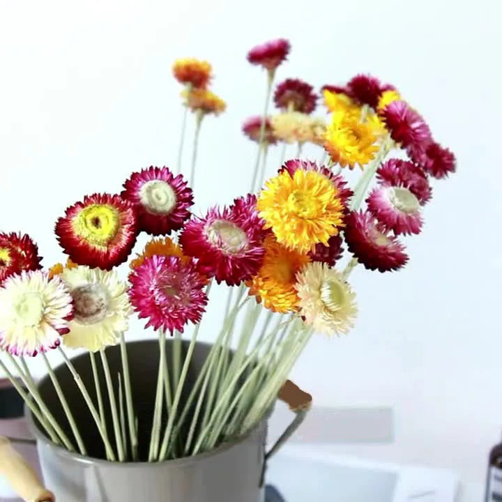 Hot Sale Handmade Natural Dried Flowers Helichrysum Heads Daisy Pineapple Chrysanthemum Preserved Graduation