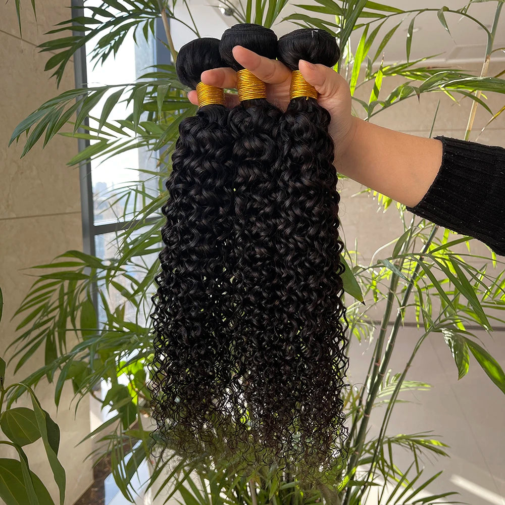 12A Cuticle Aligned Remy Hair Bundle Burmese Curly Hair Product Private Label Raw Virgin 100 Percent Human Curly Hair Wave