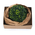 Cheaper Price Wrap Filled Products Brown Color Kraft Cushion Buffer Paper Bag China for Customized Wood Pulp Craft Paper 1 Roll