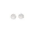 925 Sterling Silver Dandelion Stud Earrings Women's New Fashion Premium Sense Earring 2021