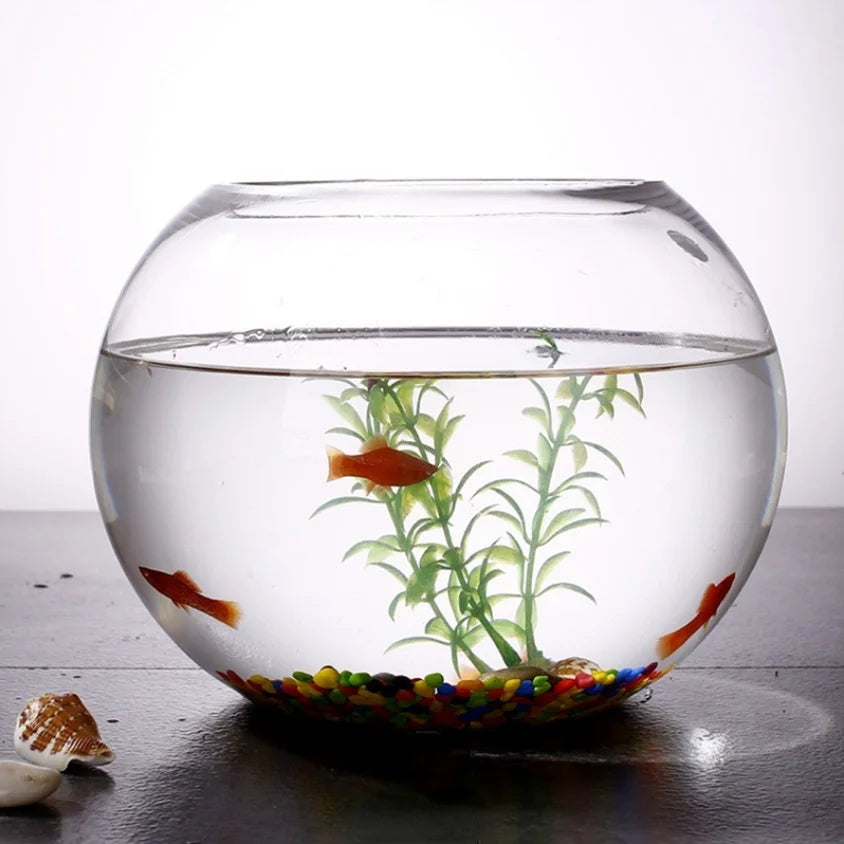 Small Glass Eco-Friendly Round Mini Aquarium Desktop Hydroponic Fish Tank Everyday Simple Modern Design