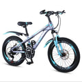 Wholesale Price Mini Sport Dirt Bike Children Bicycle 12 14 20 22 Inch for Kids 10 to 12 Years That Has Gears on 13 Speed