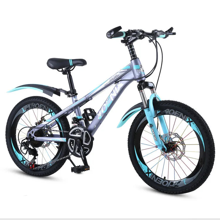 Wholesale Price Mini Sport Dirt Bike Children Bicycle 12 14 20 22 Inch for Kids 10 to 12 Years That Has Gears on 13 Speed