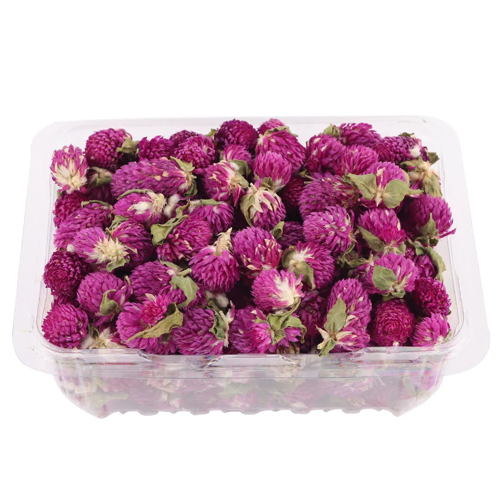 Dried Preserved Flower Natural Gomphrena Globosa for Diy Candle Making Kit