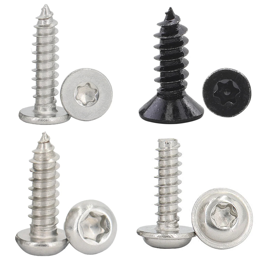Six Lobe M6 X 10 Security Torx Screw