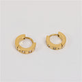 Fenny 18K PVD Plated Wholesale Waterproof&No Fade Stylish  Zirconia Pave Starburst Stainless Steel Huggie Earring for Women