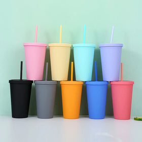 M76 Custom Reusable 16oz 24oz Drinking Tumbler Acrylic Reusable Cups Double Wall Matte Plastic Tumblers With Lids Straws