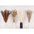 Pampas Grass Seed & Bunny Tail Dried Flowers Bouquet 100 PCS for Wedding Home Table Decor Christmas & Graduation-Boho Style