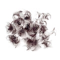 Brown Color Loose Fans Lashes  500 Fans 0.03 0.05 0.07mm Pro Made Wispy Loose Promade Fans Eyelash