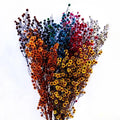 Yunnan Natural Tiger Eyes Flower Freshly Preserved Stirlingia for Home Decor Graduation Christmas Chinese New Year Father's Day