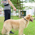 Eco-Friendly Hands-Free Dog Bungee Leash Custom Retractable Tactical Training Collar with LED and Animal Pattern