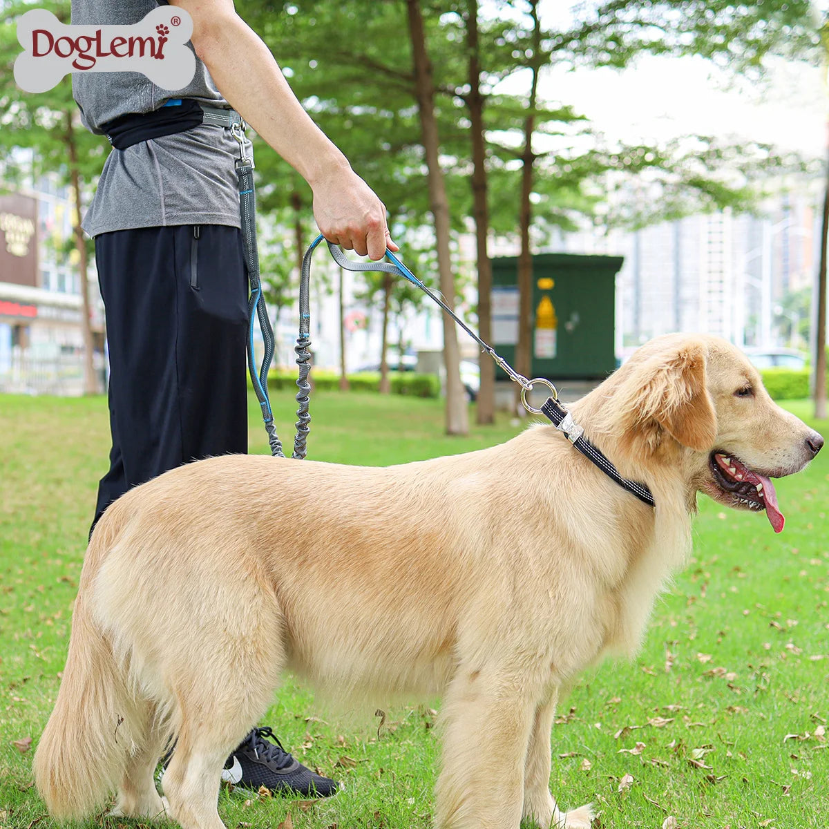 Eco-Friendly Hands-Free Dog Bungee Leash Custom Retractable Tactical Training Collar with LED and Animal Pattern