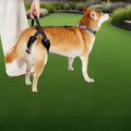 Adjustable Nylon Dog Vest with Striped Pattern Support Harness with Back Strap for Lifting and Rehabilitation Outdoor Dog Vest