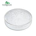 Wellgreen L-Glutamine L Glutamin Supplement Bulk Supplements Transaminase Acetyl Glutamine Powder