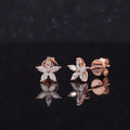 Starsgem Simple Delicate 10K Soild Rose Gold Lab Grown Diamonds Star Style Stud Earrings for Women